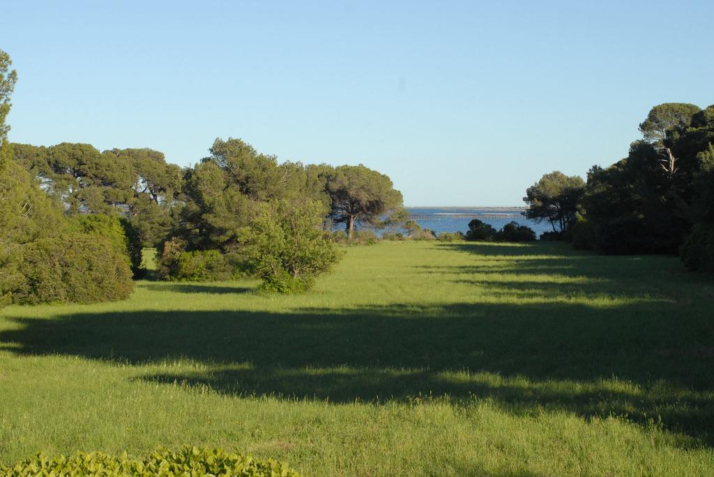 La Bellonette Marseillan  Exterior foto